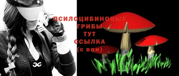 a pvp Алексин