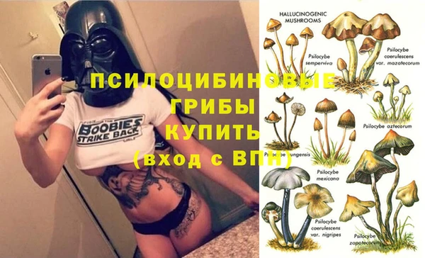 ешки Алексеевка