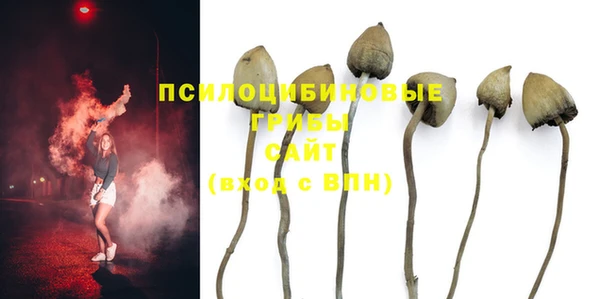 спайс Абинск