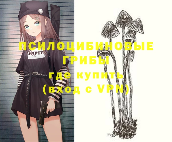 a pvp Алексин