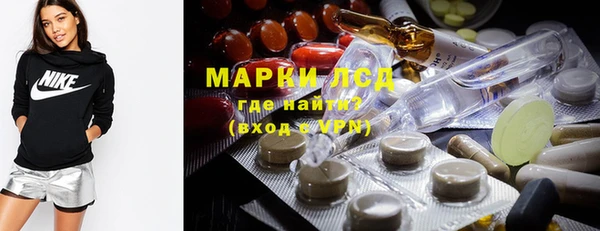 мяу мяу мука Абаза