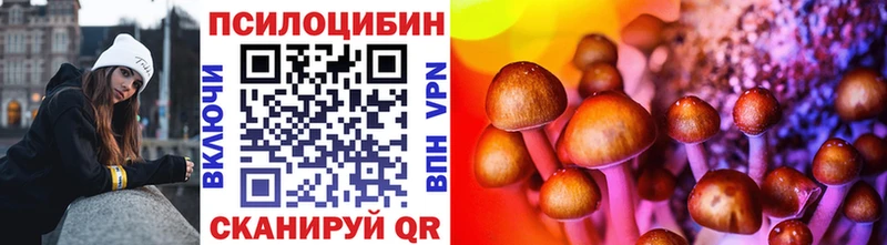 где найти наркотики  Зеленокумск  Галлюциногенные грибы MAGIC MUSHROOMS 